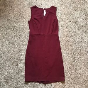Sleeveless Wine Colored Dress